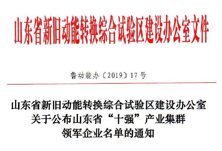 山東省“十強”產(chǎn)業(yè)集群領(lǐng)軍企業(yè)